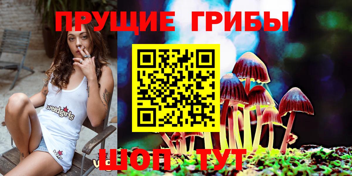Родники  Псилоцибиновые грибы прущие грибы  Псилоцибиновые грибы мицелий  Вход с VPN 